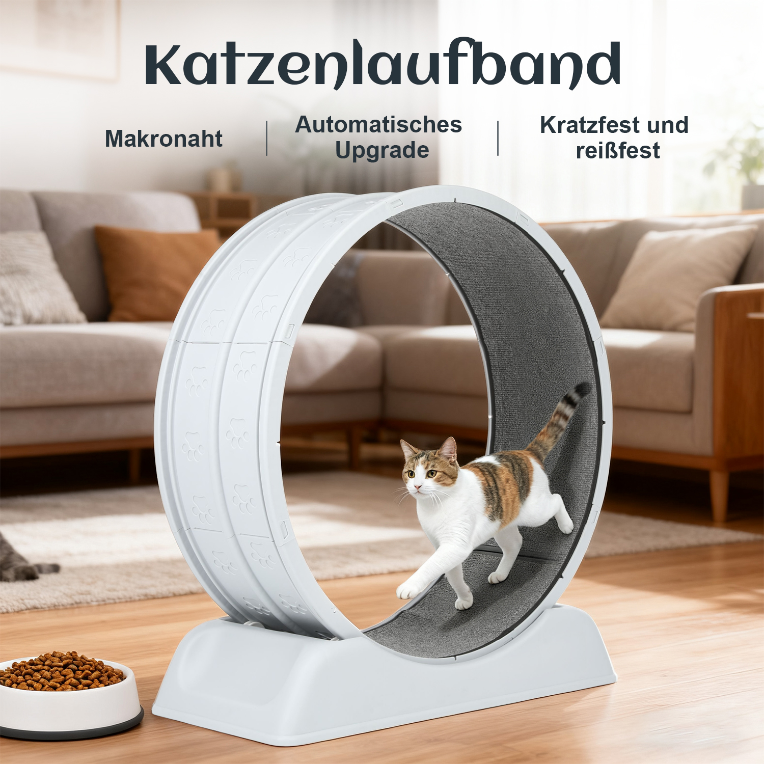 Katzenlaufrad, Katzenrad, Laufrad Katze, XXL Katzenlaufrad, breites Laufrad, leise, rutschfest, Fitnessrad für Katzen, Indoor Training, Bereicherung, Spielzeug, Katzenbett, Schlafhöhle, für große Katzen, Maine Coon, Norwegian Forest, Aktivität, Health, gegen Langeweile